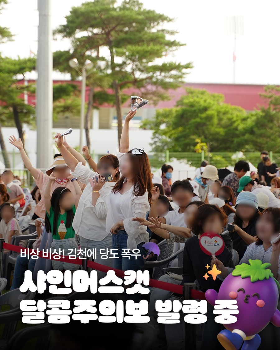 2025 김천포도축제 SNS 콘텐츠